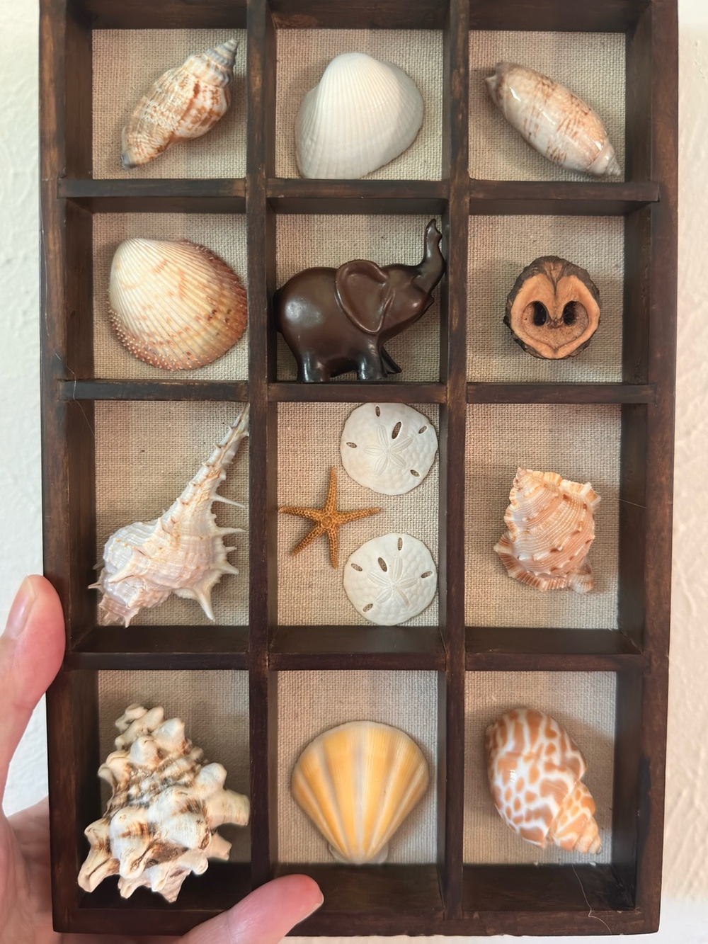 Wooden Shadow Box Wall Decor with Brown Elephant and Natural Shells